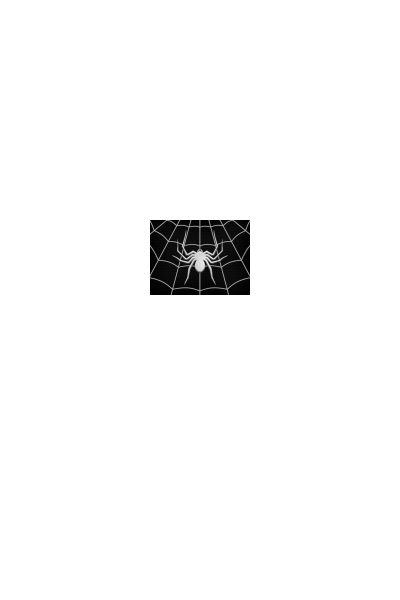 Spider armor Spider armor