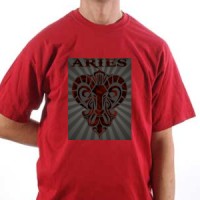  Aries