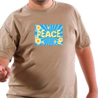  Mir