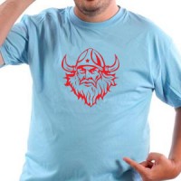 Viking