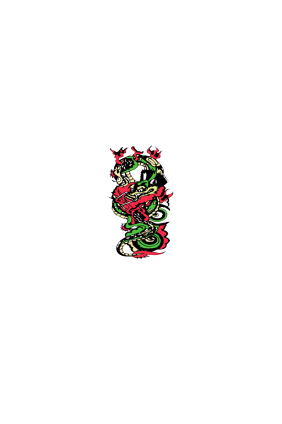 Zmaj(Dragon)