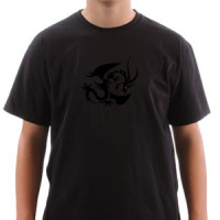  Wild dragon