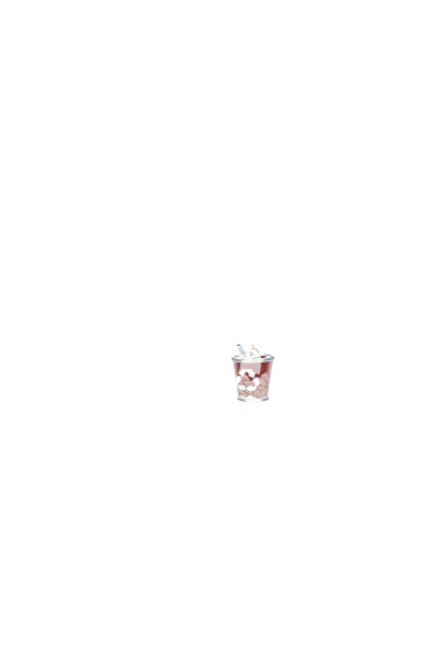Plasljivko