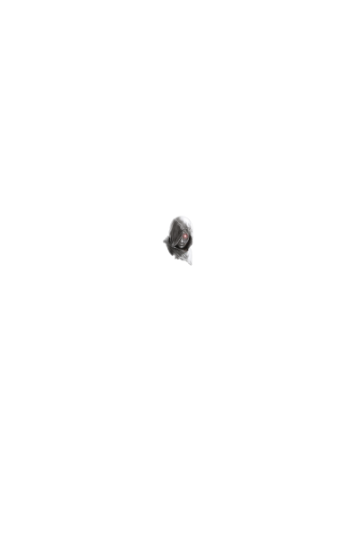 Assassin's Creed glavni lik