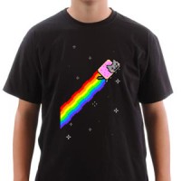  Nyan cat