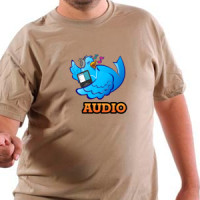  Audio