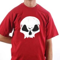  Grunge skull