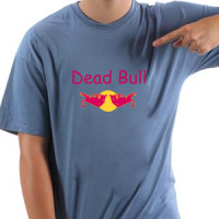  Dead Bull