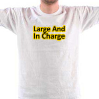  Large