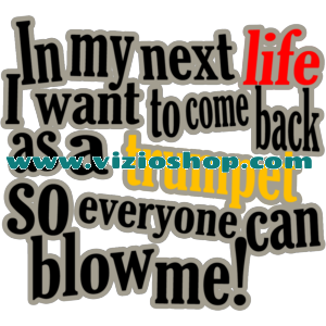 Next Life