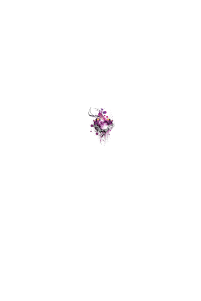 Disko Disko