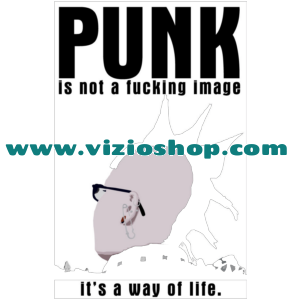 Punk it`s not fucking image it`s a way of life