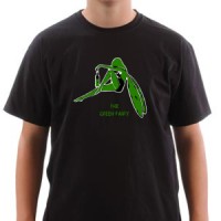  Green fairy