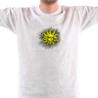  Sunce