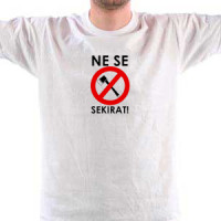  Ne Se