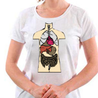 The Human body