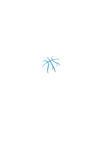 Basketball Basketball