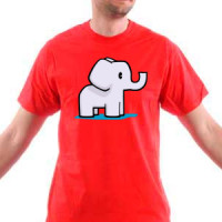 Little elephant