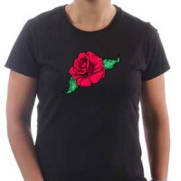  Red Rose