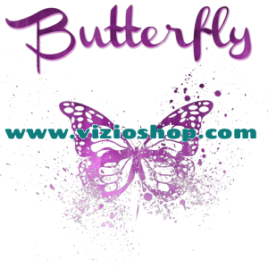 Butterfly Butterfly