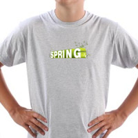  Spring