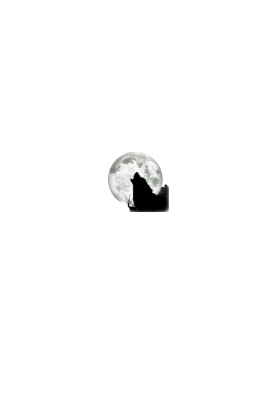 Moonlight Wolf Moonlight Wolf