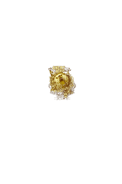 Medved Medved