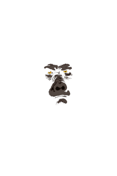 Gorilla Gorilla