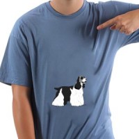  Cocker spaniel