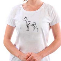  Doberman