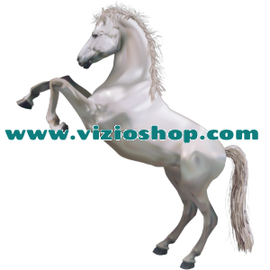 White horse