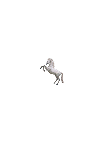 White horse