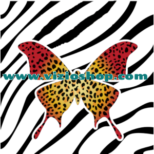 Leptir i zebra