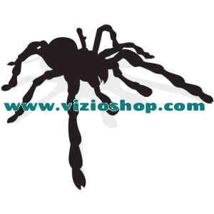 Spider Spider