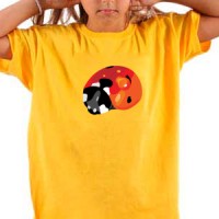  Ladybug