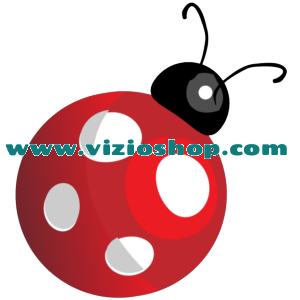 Ladybug