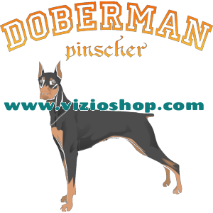 Doberman Pincher Doberman Pincher