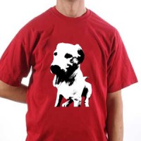  Labrador