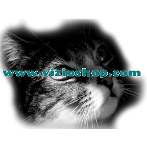 Dark Cat Dark Cat