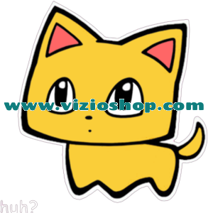 Cute cat