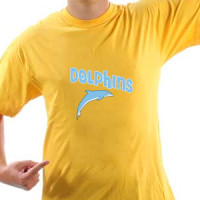  Dolphins