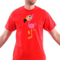  Flamingos