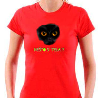 Nesto si `tela? majica