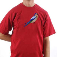 Hirundo majica