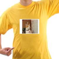 Moja maca majica