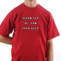Nisam lep već glup majica