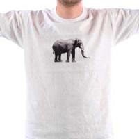 Elephant majica