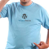VIZIOshop - majica WordPress (color)
