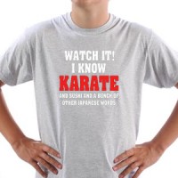 Watch it.I know Karate and sushi and a bunch of other Japanese words majica