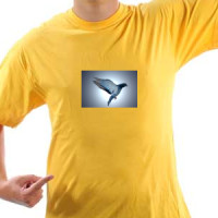 Golub majica